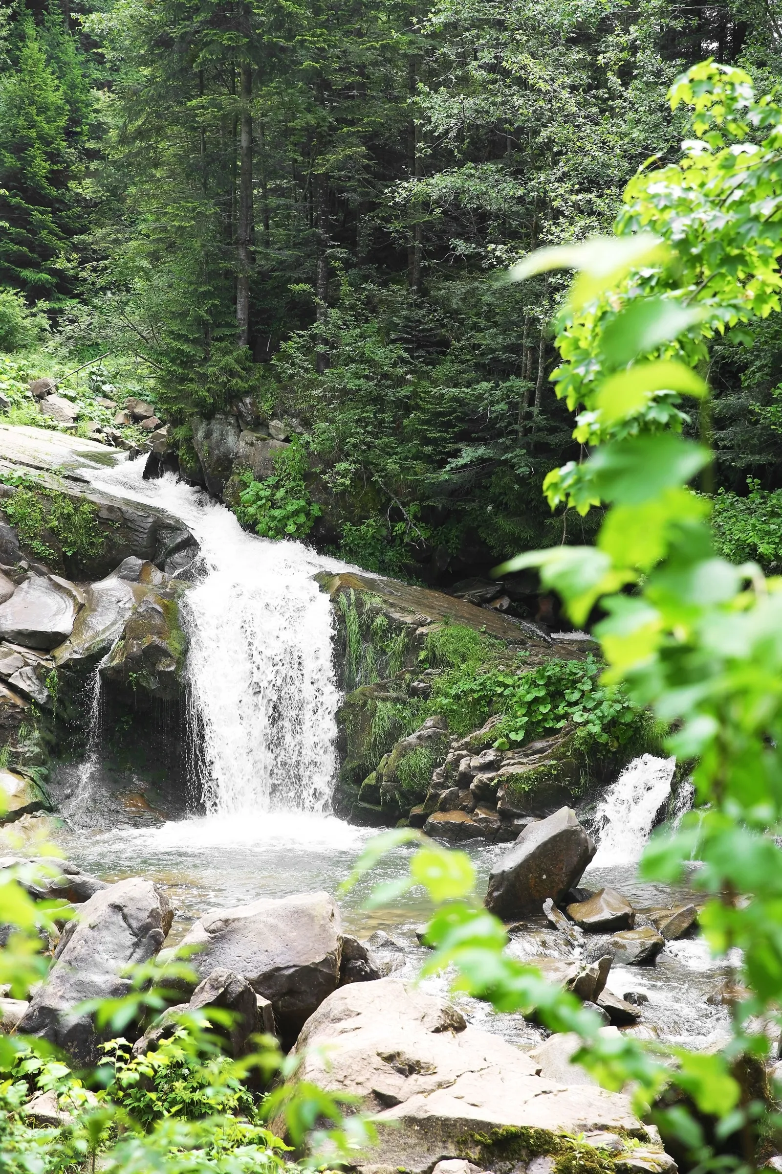 Wasserfall in einem bewaldeten Bachlauf